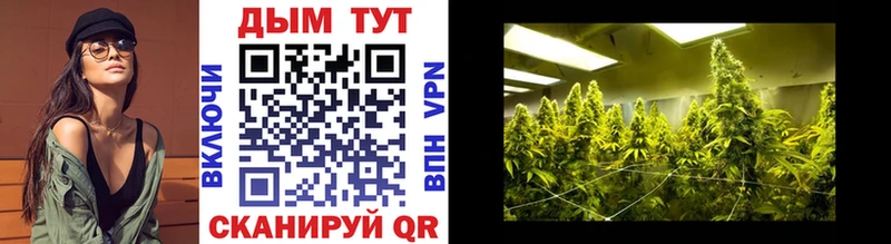 Где продают наркотики Шлиссельбург АМФ  Гашиш  A PVP  Канабис  КОКАИН 
