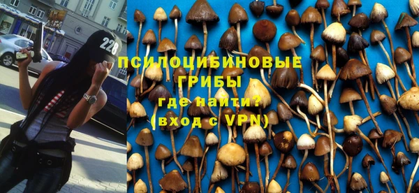 крисы Баксан
