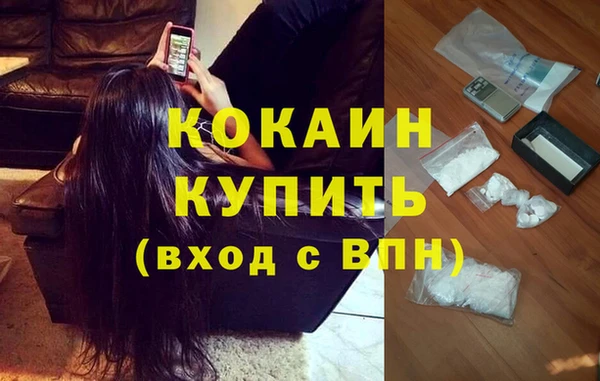 крисы Баксан