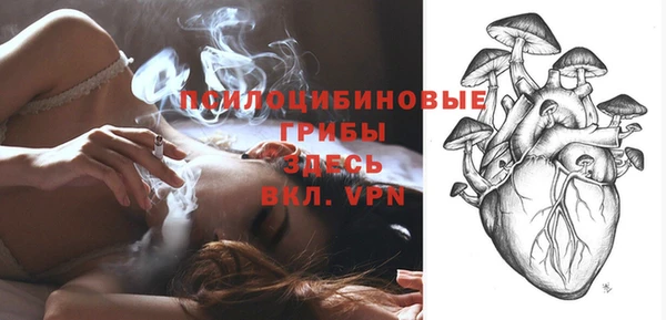 крисы Баксан