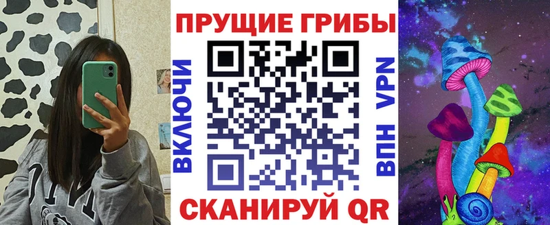 наркошоп  Шлиссельбург  Псилоцибиновые грибы Psilocybine cubensis 